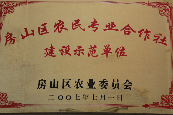 合作社.jpg