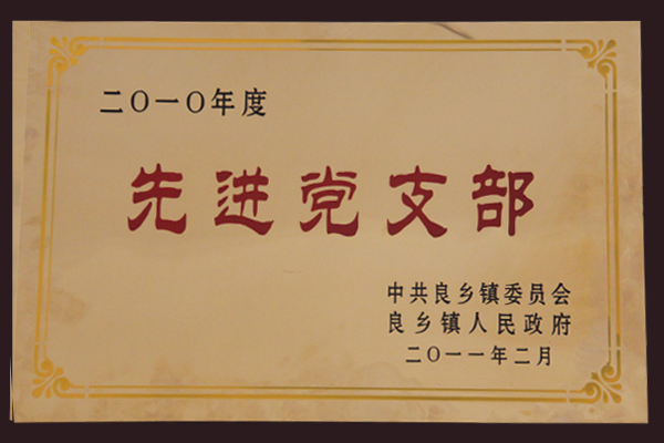 良鄉(xiāng)先進黨支部.jpg