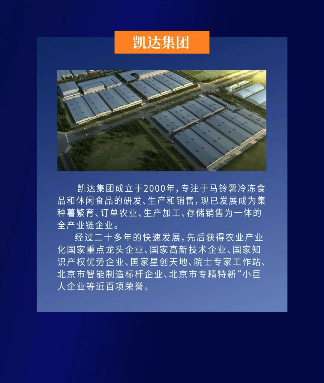 果蔬脆片OEM|VF薯條|法式薯條|薯條